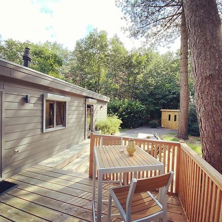 Trendy House Hattem Nr4 Hattemerbroek المظهر الخارجي الصورة